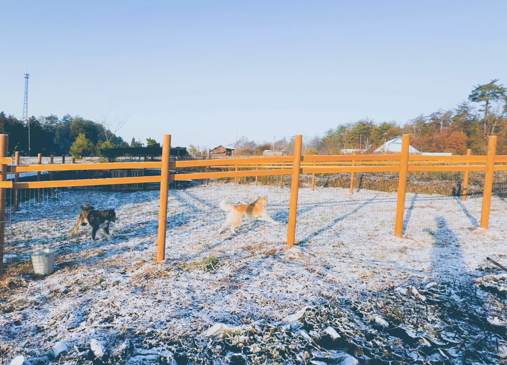 Read more about the article おおかみこどもの雨と雪