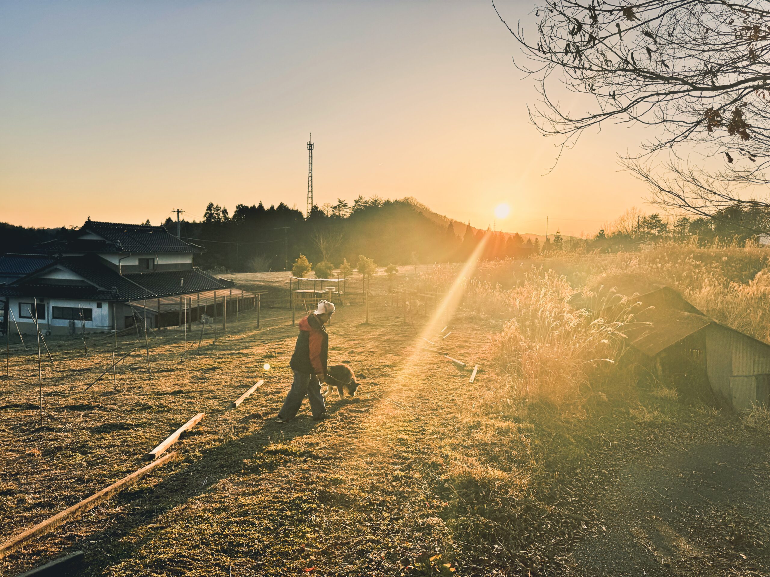 Read more about the article prayer’s anthem